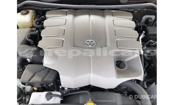 Buy Import Toyota Land Cruiser White Car in Import - Dubai in Bagmati Buy Import Toyota Land Cruiser White Car in Import - Dubai in Bagmati