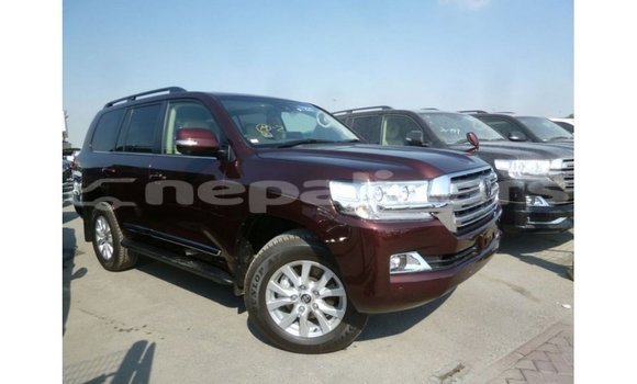 Buy Import Toyota Land Cruiser Brown Car in Import - Dubai in Bagmati Buy Import Toyota Land Cruiser Brown Car in Import - Dubai in Bagmati