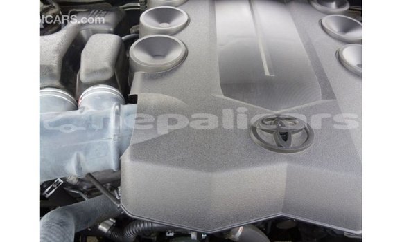 Buy Import Toyota Prado Blue Car in Import - Dubai in Bagmati Buy Import Toyota Prado Blue Car in Import - Dubai in Bagmati