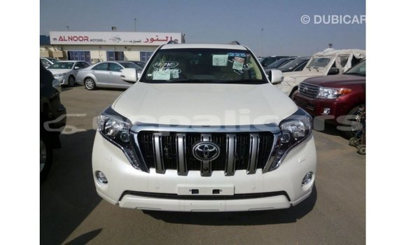 Buy Import Toyota Prado White Car in Import - Dubai in Bagmati Buy Import Toyota Prado White Car in Import - Dubai in Bagmati