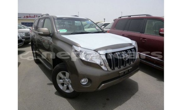 Buy Import Toyota Prado Brown Car in Import - Dubai in Bagmati Buy Import Toyota Prado Brown Car in Import - Dubai in Bagmati