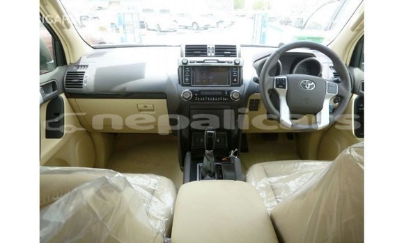 Buy Import Toyota Prado Brown Car in Import - Dubai in Bagmati Buy Import Toyota Prado Brown Car in Import - Dubai in Bagmati