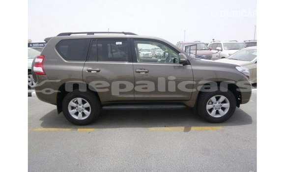 Buy Import Toyota Prado Brown Car in Import - Dubai in Bagmati Buy Import Toyota Prado Brown Car in Import - Dubai in Bagmati