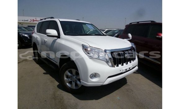Buy Import Toyota Prado White Car in Import - Dubai in Bagmati Buy Import Toyota Prado White Car in Import - Dubai in Bagmati