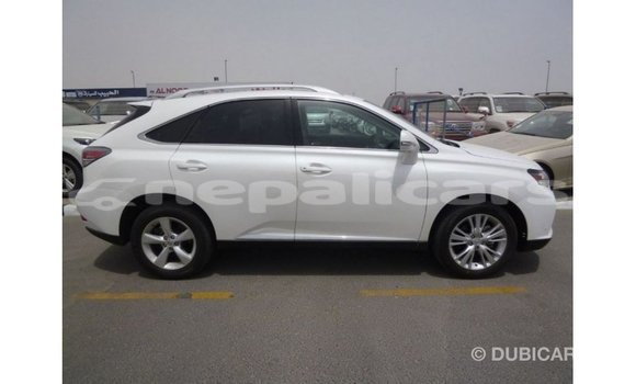 Buy Import Lexus RX 350 White Car in Import - Dubai in Bagmati Buy Import Lexus RX 350 White Car in Import - Dubai in Bagmati