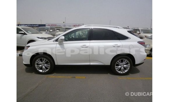 Buy Import Lexus RX 350 White Car in Import - Dubai in Bagmati Buy Import Lexus RX 350 White Car in Import - Dubai in Bagmati