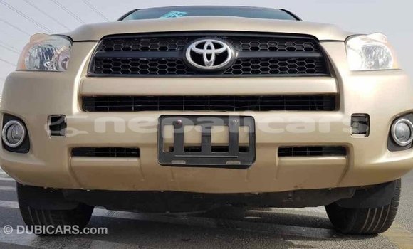 Buy Import Toyota RAV4 Other Car in Import - Dubai in Bagmati Buy Import Toyota RAV4 Other Car in Import - Dubai in Bagmati
