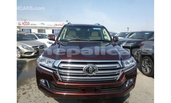 Buy Import Toyota Land Cruiser Brown Car in Import - Dubai in Bagmati Buy Import Toyota Land Cruiser Brown Car in Import - Dubai in Bagmati
