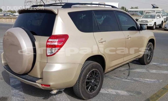 Buy Import Toyota RAV4 Other Car in Import - Dubai in Bagmati Buy Import Toyota RAV4 Other Car in Import - Dubai in Bagmati