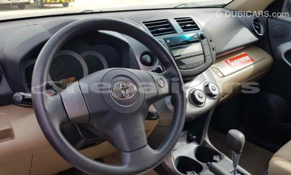 Buy Import Toyota RAV4 Other Car in Import - Dubai in Bagmati Buy Import Toyota RAV4 Other Car in Import - Dubai in Bagmati