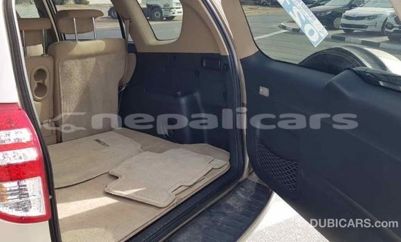 Buy Import Toyota RAV4 Other Car in Import - Dubai in Bagmati Buy Import Toyota RAV4 Other Car in Import - Dubai in Bagmati