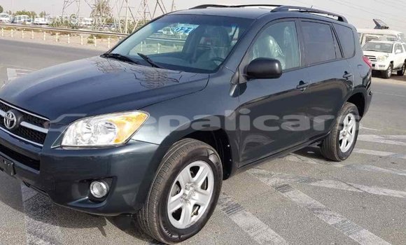 Buy Import Toyota RAV4 Green Car in Import - Dubai in Bagmati Buy Import Toyota RAV4 Green Car in Import - Dubai in Bagmati
