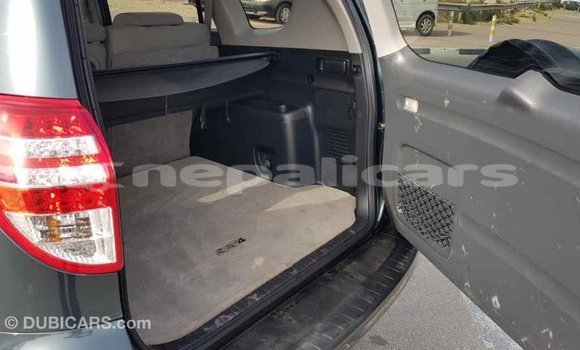 Buy Import Toyota RAV4 Green Car in Import - Dubai in Bagmati Buy Import Toyota RAV4 Green Car in Import - Dubai in Bagmati