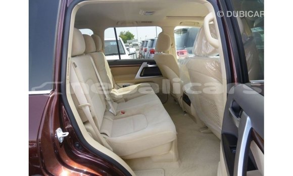 Buy Import Toyota Land Cruiser Other Car in Import - Dubai in Bagmati Buy Import Toyota Land Cruiser Other Car in Import - Dubai in Bagmati