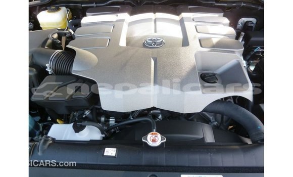 Buy Import Toyota Land Cruiser Black Car in Import - Dubai in Bagmati Buy Import Toyota Land Cruiser Black Car in Import - Dubai in Bagmati