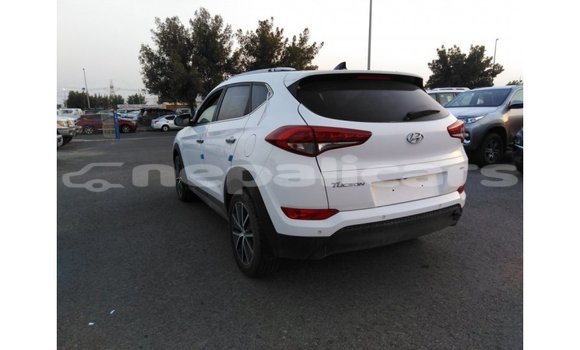 Buy Import Hyundai Tucson White Car in Import - Dubai in Bagmati Buy Import Hyundai Tucson White Car in Import - Dubai in Bagmati