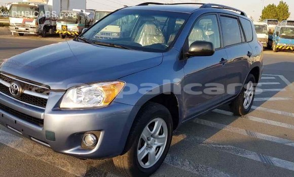 Buy Import Toyota RAV4 Blue Car in Import - Dubai in Bagmati Buy Import Toyota RAV4 Blue Car in Import - Dubai in Bagmati