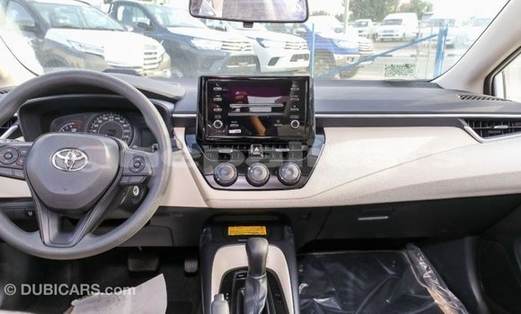 Buy Import Toyota Corolla White Car in Import - Dubai in Bagmati Buy Import Toyota Corolla White Car in Import - Dubai in Bagmati