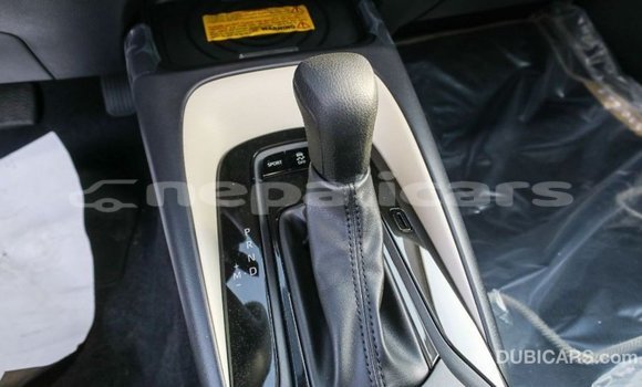 Buy Import Toyota Corolla White Car in Import - Dubai in Bagmati Buy Import Toyota Corolla White Car in Import - Dubai in Bagmati