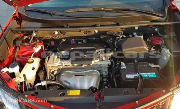 Buy Import Toyota RAV4 Red Car in Import - Dubai in Bagmati Buy Import Toyota RAV4 Red Car in Import - Dubai in Bagmati