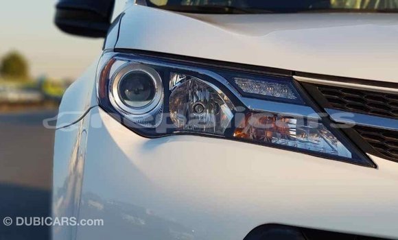 Buy Import Toyota RAV4 White Car in Import - Dubai in Bagmati Buy Import Toyota RAV4 White Car in Import - Dubai in Bagmati
