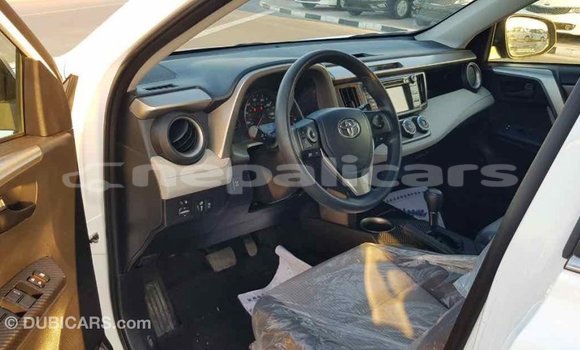 Buy Import Toyota RAV4 White Car in Import - Dubai in Bagmati Buy Import Toyota RAV4 White Car in Import - Dubai in Bagmati