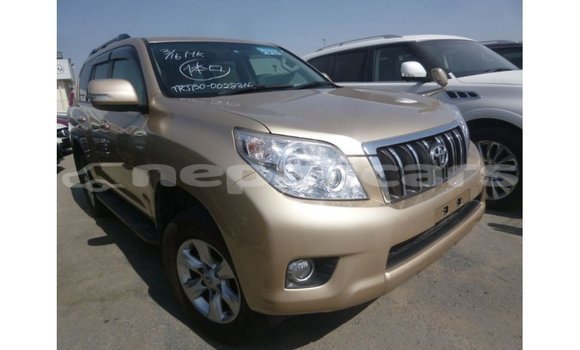 Buy Import Toyota Prado Other Car in Import - Dubai in Bagmati Buy Import Toyota Prado Other Car in Import - Dubai in Bagmati