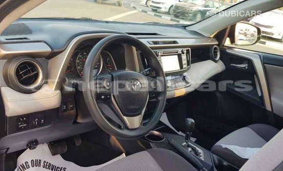 Buy Import Toyota RAV4 Black Car in Import - Dubai in Bagmati Buy Import Toyota RAV4 Black Car in Import - Dubai in Bagmati