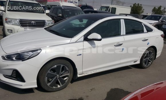 Buy Import Hyundai Sonata White Car in Import - Dubai in Bagmati Buy Import Hyundai Sonata White Car in Import - Dubai in Bagmati