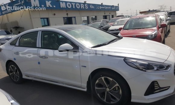 Buy Import Hyundai Sonata White Car in Import - Dubai in Bagmati Buy Import Hyundai Sonata White Car in Import - Dubai in Bagmati