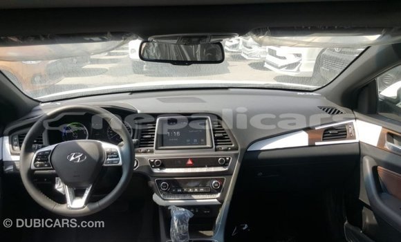 Buy Import Hyundai Sonata White Car in Import - Dubai in Bagmati Buy Import Hyundai Sonata White Car in Import - Dubai in Bagmati