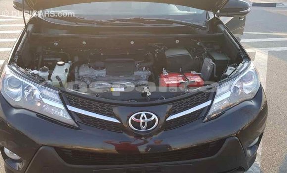 Buy Import Toyota RAV4 Black Car in Import - Dubai in Bagmati Buy Import Toyota RAV4 Black Car in Import - Dubai in Bagmati