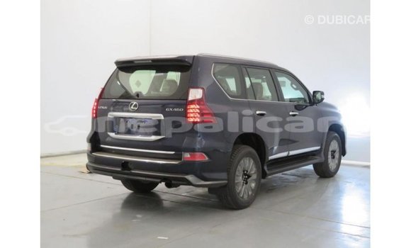 Buy Import Lexus GX Blue Car in Import - Dubai in Bagmati Buy Import Lexus GX Blue Car in Import - Dubai in Bagmati
