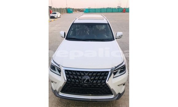 Buy Import Lexus GX White Car in Import - Dubai in Bagmati Buy Import Lexus GX White Car in Import - Dubai in Bagmati