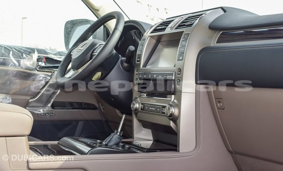 Buy Import Lexus GX White Car in Import - Dubai in Bagmati Buy Import Lexus GX White Car in Import - Dubai in Bagmati