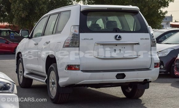 Buy Import Lexus GX White Car in Import - Dubai in Bagmati Buy Import Lexus GX White Car in Import - Dubai in Bagmati