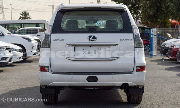 Buy Import Lexus GX White Car in Import - Dubai in Bagmati Buy Import Lexus GX White Car in Import - Dubai in Bagmati
