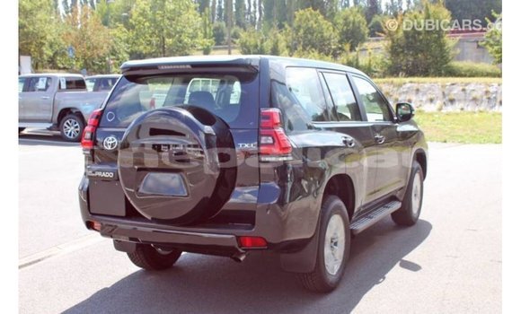 Buy Import Toyota Hilux Black Car in Import - Dubai in Bagmati Buy Import Toyota Hilux Black Car in Import - Dubai in Bagmati