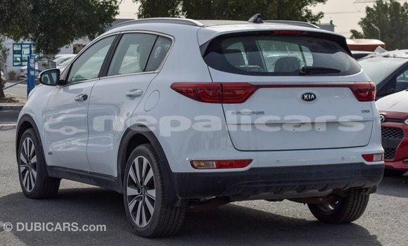 Buy Import Kia Sportage White Car in Import - Dubai in Bagmati Buy Import Kia Sportage White Car in Import - Dubai in Bagmati
