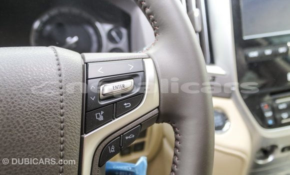 Buy Import Toyota Land Cruiser Black Car in Import - Dubai in Bagmati Buy Import Toyota Land Cruiser Black Car in Import - Dubai in Bagmati