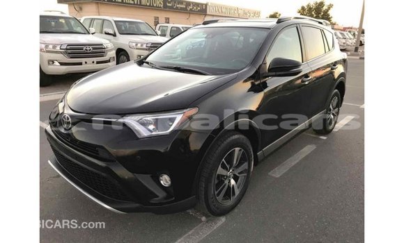 Buy Import Toyota RAV4 Black Car in Import - Dubai in Bagmati Buy Import Toyota RAV4 Black Car in Import - Dubai in Bagmati
