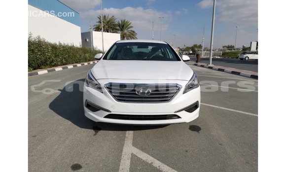 Buy Import Hyundai Sonata White Car in Import - Dubai in Bagmati Buy Import Hyundai Sonata White Car in Import - Dubai in Bagmati