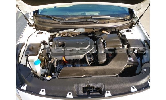 Buy Import Hyundai Sonata White Car in Import - Dubai in Bagmati Buy Import Hyundai Sonata White Car in Import - Dubai in Bagmati