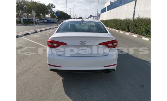 Buy Import Hyundai Sonata White Car in Import - Dubai in Bagmati Buy Import Hyundai Sonata White Car in Import - Dubai in Bagmati