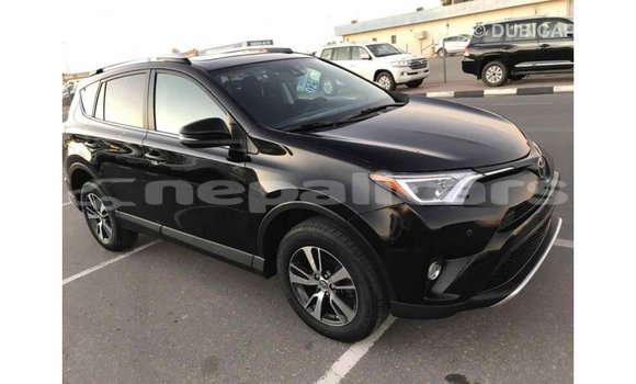 Buy Import Toyota RAV4 Black Car in Import - Dubai in Bagmati Buy Import Toyota RAV4 Black Car in Import - Dubai in Bagmati