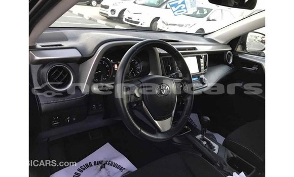 Buy Import Toyota RAV4 Black Car in Import - Dubai in Bagmati Buy Import Toyota RAV4 Black Car in Import - Dubai in Bagmati