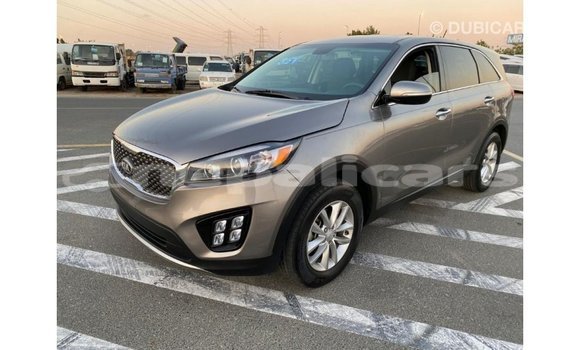 Buy Import Kia Sorento Other Car in Import - Dubai in Bagmati Buy Import Kia Sorento Other Car in Import - Dubai in Bagmati