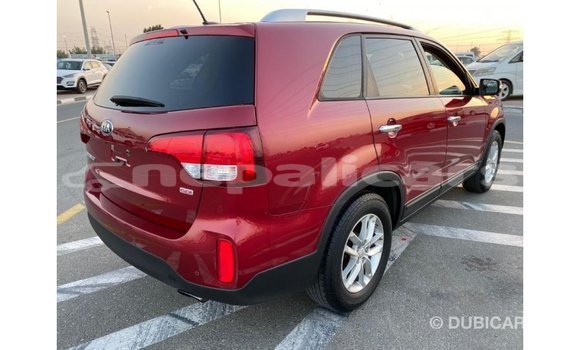 Buy Import Kia Sorento Red Car in Import - Dubai in Bagmati Buy Import Kia Sorento Red Car in Import - Dubai in Bagmati