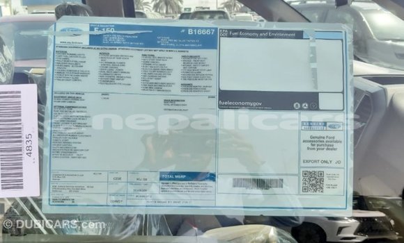 Buy Import Ford Club Wagon Red Car in Import - Dubai in Bagmati Buy Import Ford Club Wagon Red Car in Import - Dubai in Bagmati