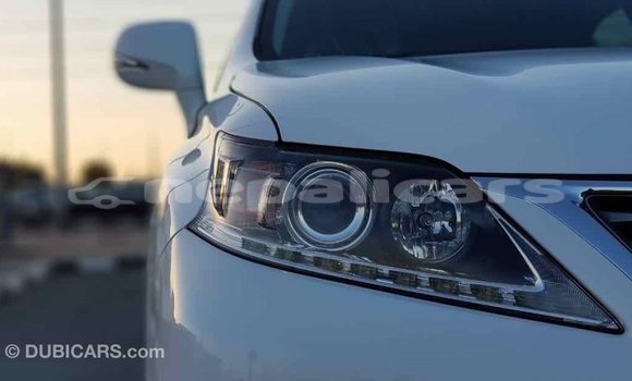 Buy Import Lexus RX 350 White Car in Import - Dubai in Bagmati Buy Import Lexus RX 350 White Car in Import - Dubai in Bagmati